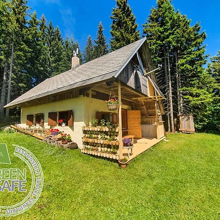 Mountain Eco Chalet Konjska Dolina On 1400 M Asl -Near Pokljuka Srednja Vas v Bohinju Εξωτερικό φωτογραφία