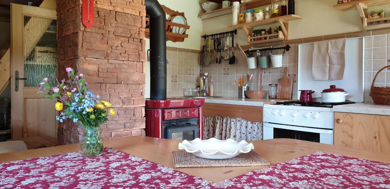 Mountain Eco Chalet Konjska Dolina On 1400 M Asl -Near Pokljuka Srednja Vas v Bohinju Εξωτερικό φωτογραφία