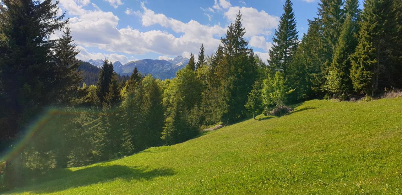 Mountain Eco Chalet Konjska Dolina On 1400 M Asl -Near Pokljuka Srednja Vas v Bohinju Εξωτερικό φωτογραφία