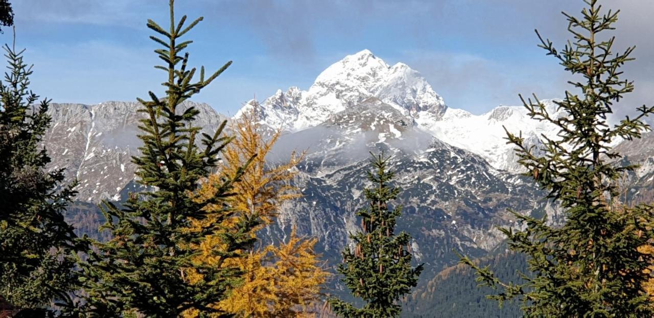 Mountain Eco Chalet Konjska Dolina On 1400 M Asl -Near Pokljuka Srednja Vas v Bohinju Εξωτερικό φωτογραφία